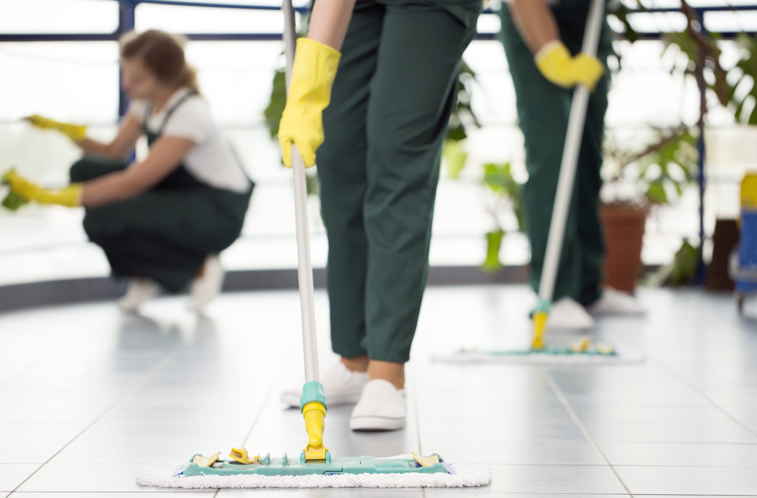 Post Construction Cleaning Services in Brighton