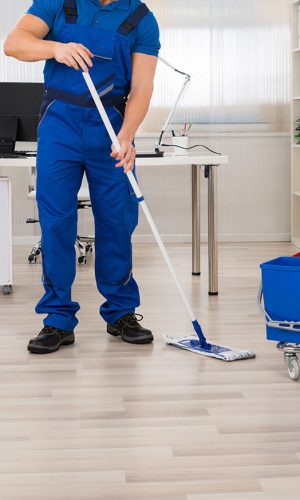 APSI FACILITY CLEANING SERVICE2